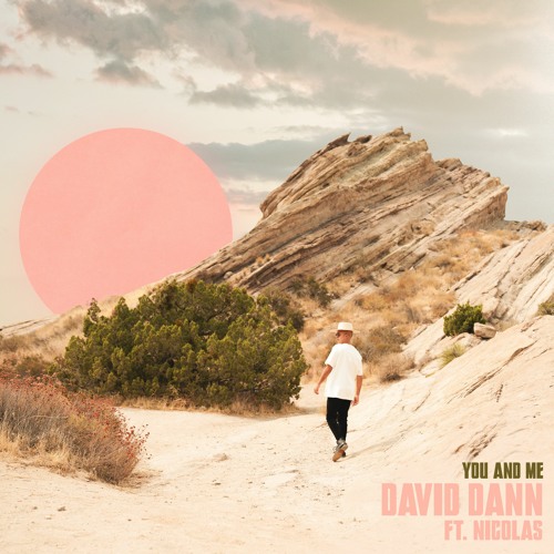 David Dann